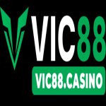 VIC88