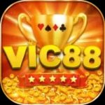vic88pro