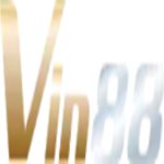 VIN88