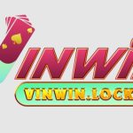 vinwinzcom