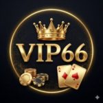 nhà cái vip66