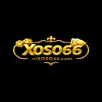 vixoso66com