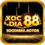 Xocdia88 – Cổng Game Xóc Đĩa & Đổi Thưởng Uy Tín Hàng Đầu