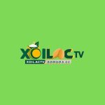 xoilactvbongdacc