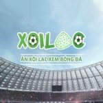 xoilactvcode