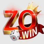 zowinappnet